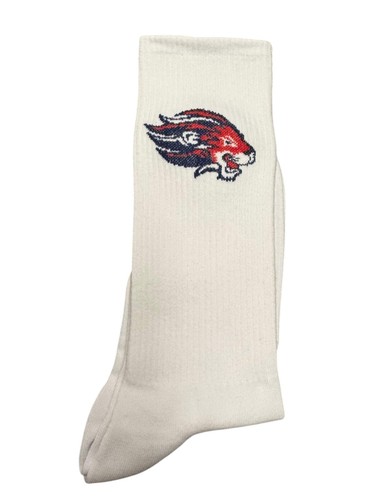 Ball hockey gym socks - gym,