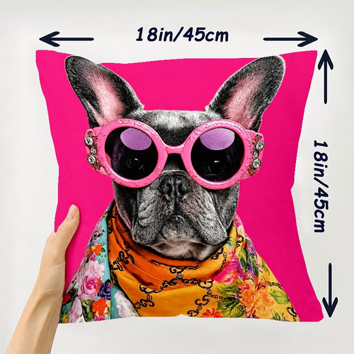 Fashionable french bulldog - fashionable,
