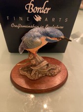 border fine arts Kingfisher