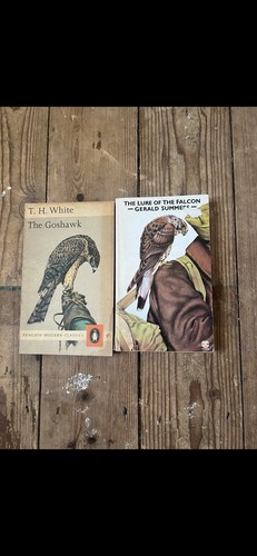 The goshawk - (left), lure