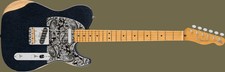 Fender Brad Paisley Road