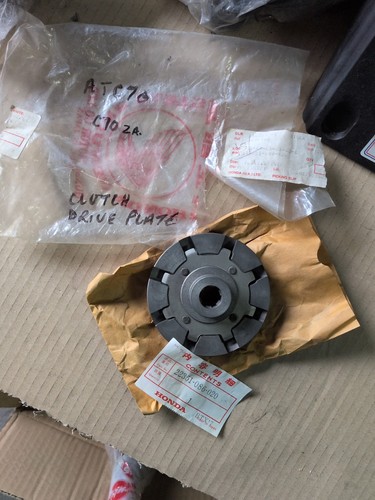 Extremely rare genuine nos - extremely,