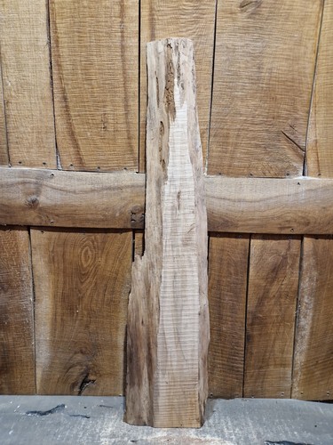 Cedar slab live - live,