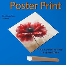 Red poppy floral - poppy, flower
