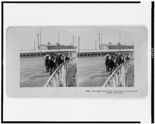 Photo of Stereograph,Final