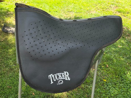 Tucker endurance trail - tucker, /