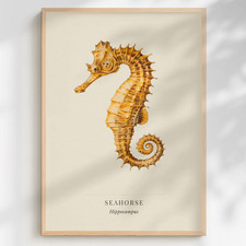 Seahorse Wall Art Marine Life