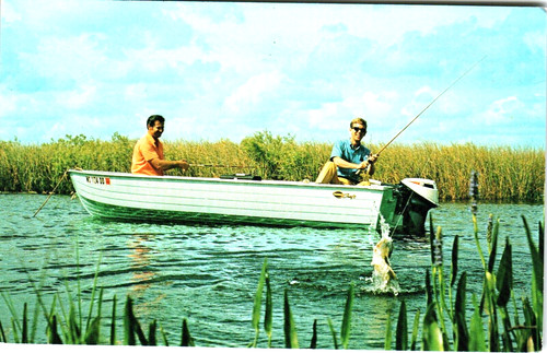 Postcard bass fishing jumping - postcard,