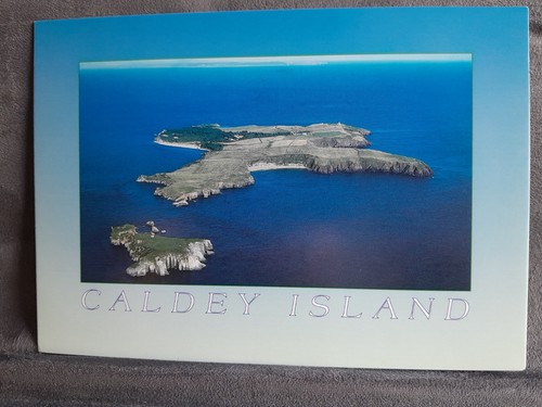Caldey island aerial view - island,
