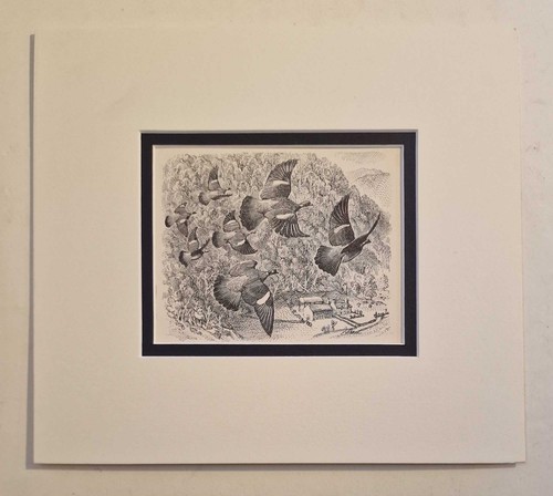 Tunnicliffe pigeons flight - pigeons,