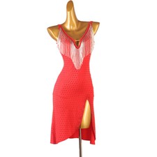 Latin Dance Dress Salsa Tango