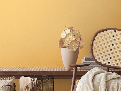 Non woven wallpaper solid - wallpaper,