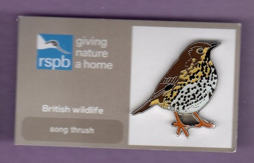 Rspb pin badge song - rspb,