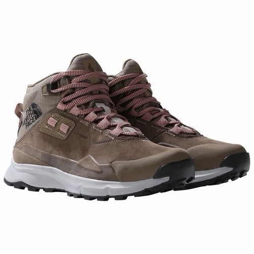 The north face women - face, women’s