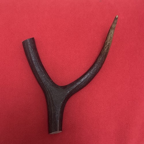 One piece deer antler - one, of