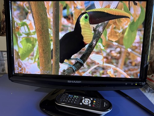 Sharp monitor 19d1e bk - tv/monitor, lc-19d1e-bk