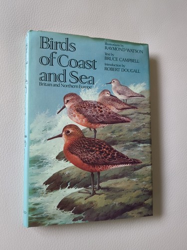 Birds coast and - of, sea