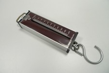 Salter 12 Spring Scale 200g