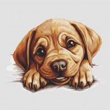 Labrador Bulldog Puppy Dog