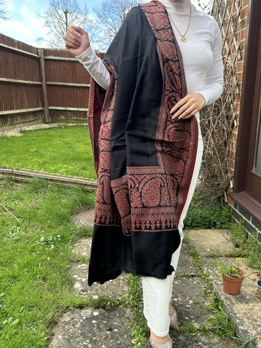 Stunning pashmina kashmiri - stunning,