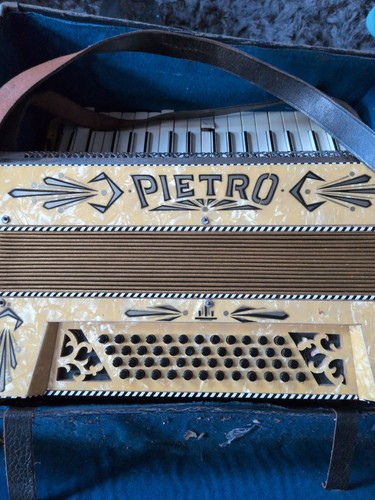 Accordion instrument - accordion,