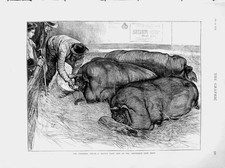 Original Old Antique Print