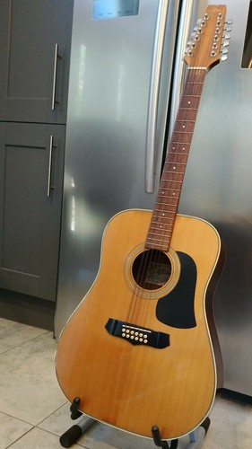 Aria lw15t12 string acoustic - lw15t12,
