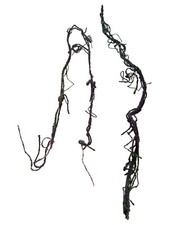 Flexible jungle climbing vine - jungle,
