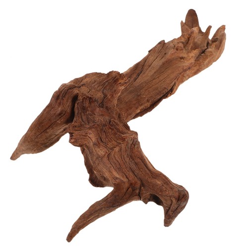 Coffee dead wood fish decor - coffee,