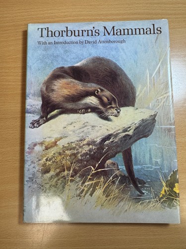 Thorburn mammals by - thorburn's,