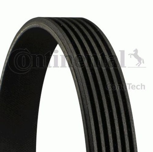 Fits continental ctam 6pk1560 - fits,