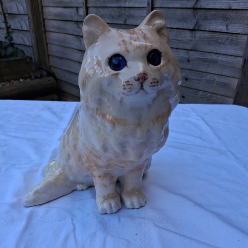 Signed winstanley cat - cat, size