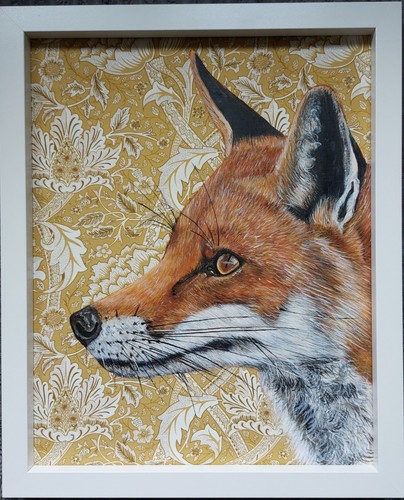 Original wildlife fox picture - original,
