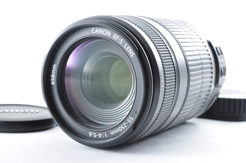 Canon zoom lens 55 250mm - zoom, 55-250mm