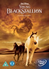 The Young Black Stallion DVD