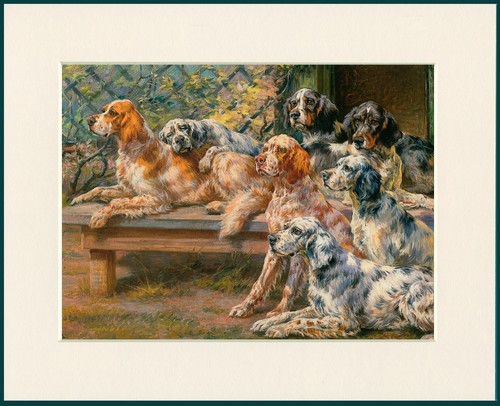 English setter dog art - setter,