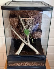Zoo Med Mini Tall Glass Terrarium Vivarium 30x30x45cm