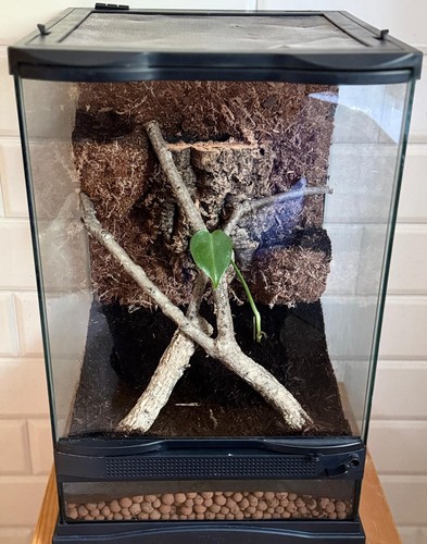 Zoo med mini tall - zoo,