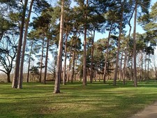 Photo A1 RHS Garden, Wisley