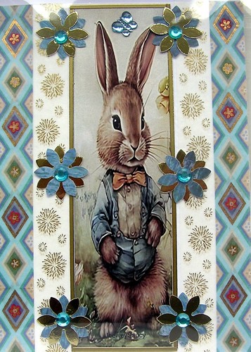 Rabbit blue jacket hand - jacket,
