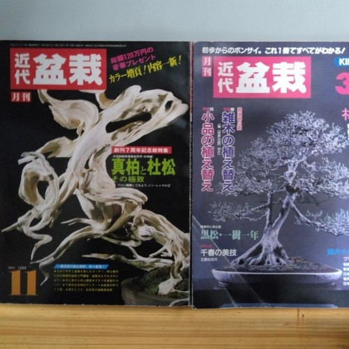 Modern bonsai magazines - modern,