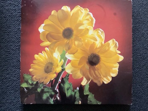 Vintage dairy box - vintage,