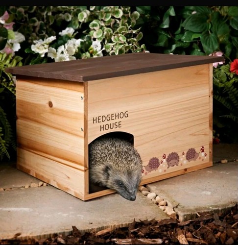 45cm wood hedgehog - wood,