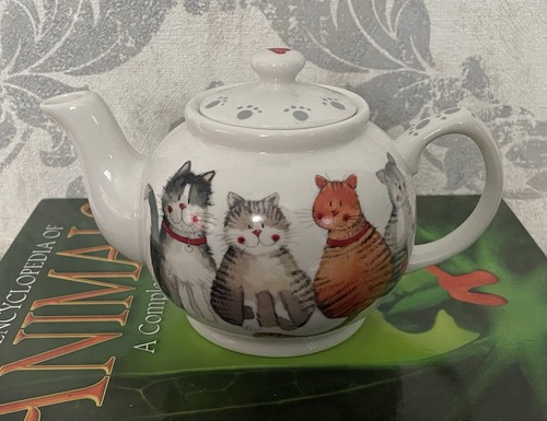Cat marvellous moggies - cat, moggies'