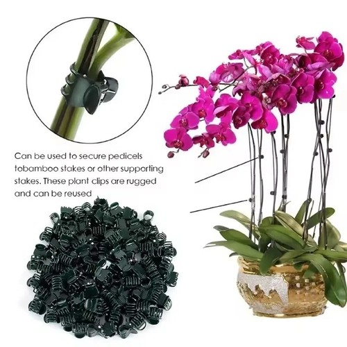 100pcs plant fix clips orchid - fix,