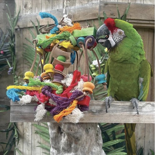 Sisal invader parrot toy - parrot,