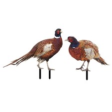 Garden Pheasants Stake Yard