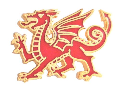 Wales david day pin - st.,
