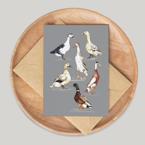 Ducks card hand drawn - drawn, by