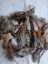 50 Natural Birds Feathers